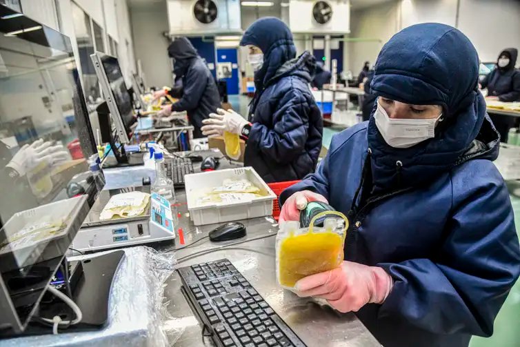 Hemobrás/Divulgação Brasília (DF) 21/11/2024 - Matéria especial sobre ecorde de plasma
Foto: Hemobrás/Divulgação