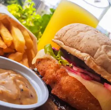 Rio de Janeiro (RJ) 10/01/2025 - Hambúrguer vegano de tucumã da empresa amazônia smartfood.
Foto: Guilherme Gomes/Divulgação