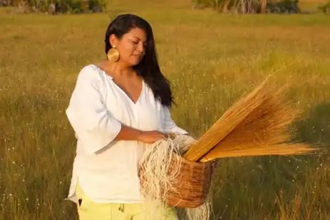 Ilana Cardoso/Arquivo Pessoal Jalapão (TO), 05/01/2025 - Ilana Cardoso faz colheita de capim dourado. Tursimo na Amazônia. Foto: Ilana Cardoso/Arquivo Pessoal