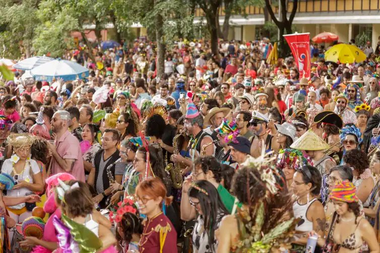 Brasília (DF), 01/03/2025 - Bloco de carnaval, Vai quem fica, nas ruas de Brasília.
Foto: Joédson Alves/Agência Brasil