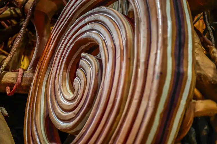 Brasília (DF) 24/02/2025 - Detalhe do carro alegórico, escola Grande Rio.
Foto: Rafael Arantes/Divulgação