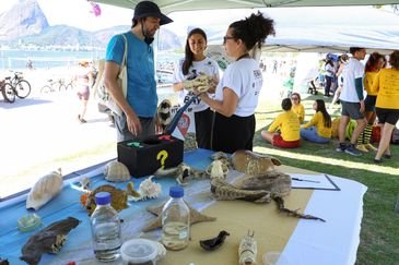 Rio de Janeiro (RJ), 22/03/2025 – No Dia Mundial da Água, o Clean Up Bay une voluntários para limpeza da praia do Flamengo, na zona sul do Rio de Janeiro. Foto: Tomaz Silva/Agência Brasil