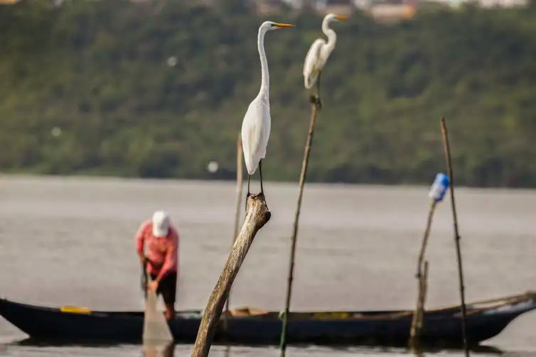 Maceió (AL) 18/12/2023 – Um pescador é visto pescando na lagoa. A pesca na região foi probida após rompimento da mina n°18 da mineradora Baskem na lagoa de Mundaú.
Foto: Joédson Alves/Agência Brasil