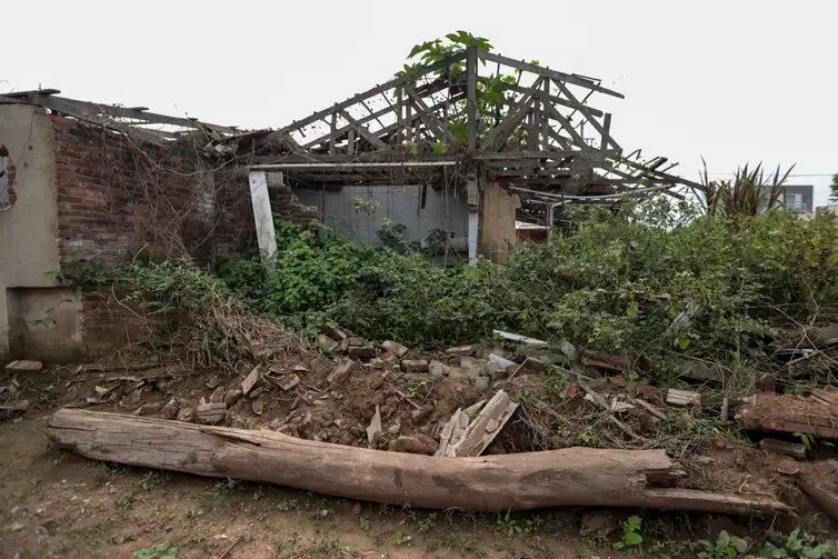 Cruzeiro do sul (RS), 27/04/2025 - Bairro passo de estrela, onde todas casas foram destruídas pela enchente de abril 2024.
A um ano o estado foi atingido por temporais que afetou mais de 400 municípios gaúchos, tiveram bairros inteiros alagados. A maior tragédia climática da história, deixou pelo menos 147 mortos e afetou mais de 2,1 milhões de pessoas.
Foto: Joédson Alves/Agência Brasil