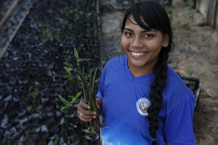 Bragança (PA), 12/06/2025 – A estudante Taynara da Silva trabalha no viveiro de mudas de mangue do projeto Mangues da Amazônia da Vila do Tamatateua, na área da Reserva Extrativista Marinha de Caeté-Taperaçu. Foto: Fernando Frazão/Agência Brasil