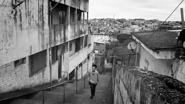 Frame Sem Querer/Festival Internacional de Curtas São Paulo (SP), 21/08/2025 - Festival Internacional de Curtas começa hoje em SP apresentando 253 filmes de 60 países.
Frame Sem Querer/Festival Internacional de Curtas