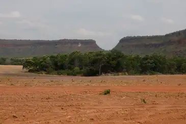 Balsas (MA), 09/10/2025 – Lavoura de cultivo de soja avança sobre a vegetação do cerrado na região do Vão do Uruçuí, nos Gerais de Balsas. Foto: Fernando Frazão/Agência Brasil
