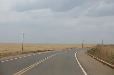 Fernando Frazão/Agência Brasil Balsas (MA), 09/10/2025 – Vista de fazendas de cultivo de soja ao longo da rodovia MA-007. Foto: Fernando Frazão/Agência Brasil