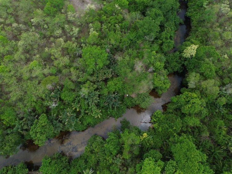 Carolina MA), 12/10/2025 – Vista do Rio Itapecuru. em meio à vegetação do cerrado, que abastace mais de 50 municípios do Maranhão. Foto: Fernando Frazão/Agência Brasil