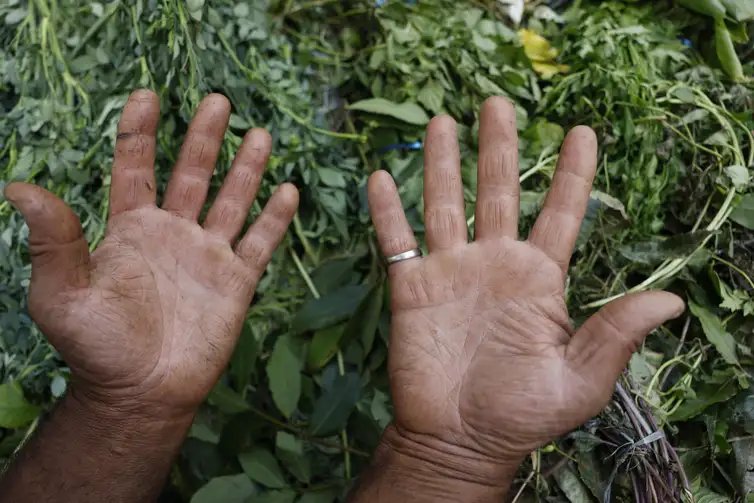 Rio de Janeiro (RJ), 16/12/2025 – Detalhes das marcas nas mãos de um erveiro que vende ervas para banhos energéticos e espirituais numa rua do Bairro de Fátima. Foto: Fernando Frazão/Agência Brasil