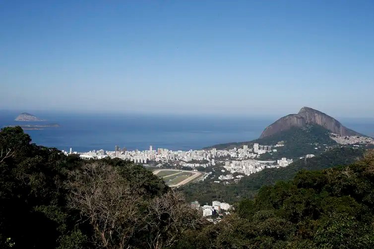 Oito cutias são soltas no Parque Nacional da Tijuca. A espécie foi escolhida por ser nativa e uma importante dispersora de sementes. O animal chega a enterrar os grãos para consumir depois, favorecendo a restauração florestal.