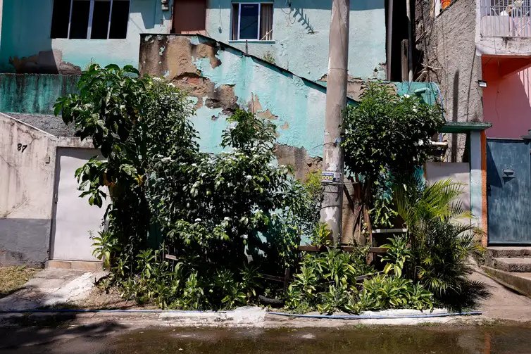 Rio de Janeiro (RJ), 26/03/2026 - Hortas agroecológicas e ancestrais no Morro do Salgueiro, zona norte da cidade. Foto: Tânia Rêgo/Agência Brasil
