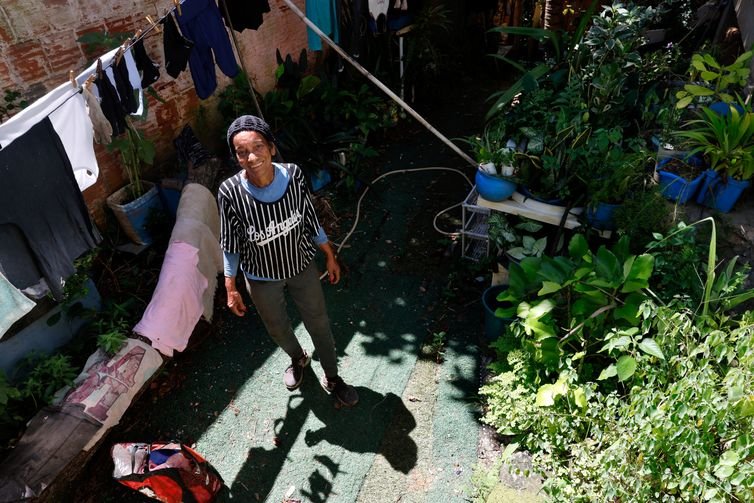 Rio de Janeiro (RJ), 26/03/2026 - Vera Lúcia Silva de Souza, conhecida como tia Vera, em sua casa no alto do morro do Salgueiro. Hortas agroecológicas e ancestrais no Morro do Salgueiro, zona norte da cidade. Foto: Tânia Rêgo/Agência Brasil