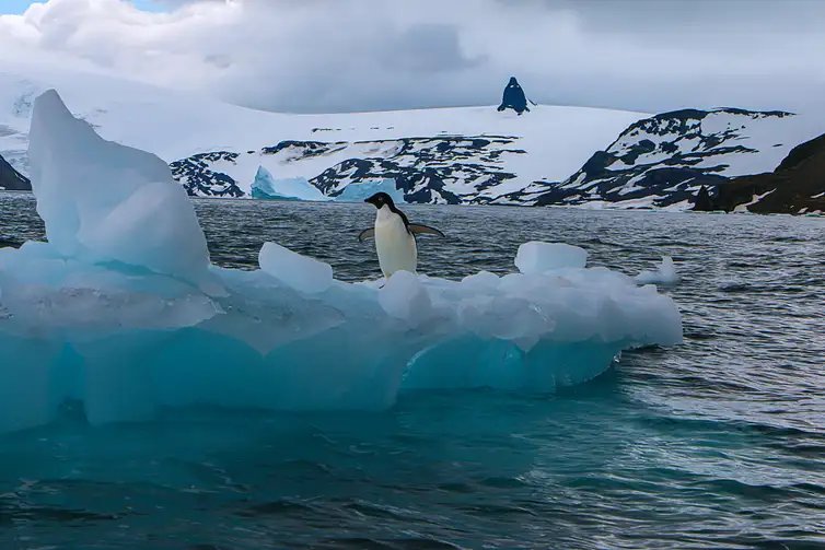 02/03/2026 - Derretimento das geleiras e calotas polares vai afetar sobretudo cidades costeiras, revela estudo. Foto: Aline Martinez/Divulgação