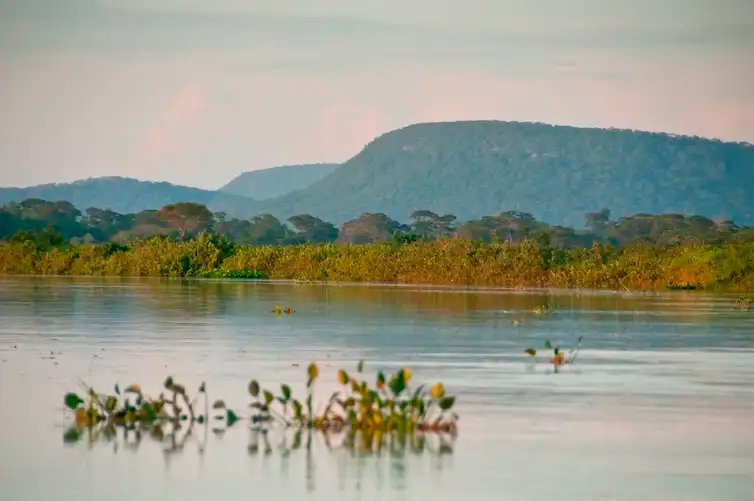 Palê Zuppani/ICMbio FOTO DE ARQUIVO - Novas áreas de proteção ambiental no Cerrado e no Pantanal. Parque Nacional do Pantanal. Foto: Palê Zuppani/ICMbio