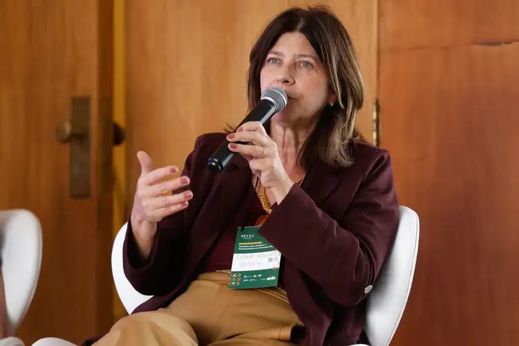 Rio de Janeiro (RJ), 16/06/2026 - Luciane Fernandes, Gorgulho, economista do BNDES, fala durante Seminário Internacional Caminhos para Fomento e Financiamento em Economia Criativa , no  Edifício Palácio Gustavo Capanema, centro da cidade.  Foto: Tânia Rêgo/Agência Brasil