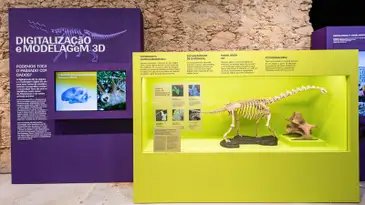 Rio de Janeiro (RJ), 19/06/2026 – Museu Nacional lança exposições inéditas em comemoração aos 208 anos.
Foto: Felipe Cohen/Divulgação