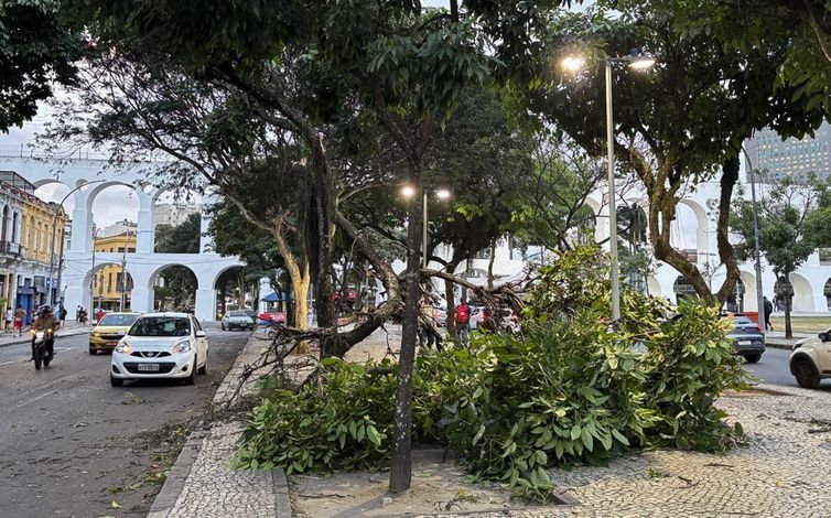 Tânia Rêgo/Agência Brasil Rio de Janeiro - 29/07/2026 - ventania causa estragos no Rio. Foto Tânia Rêgo/Agência Brasil