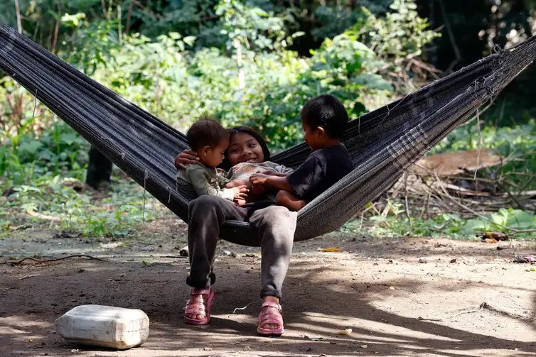 Tânia Rêgo/Agência Brasil Maricá (RJ), 30/06/2026 - Aldeia Guyra Ambar (Morada dos Pássaros), comunidade indígena formada por famílias do povo Mbya Guarani, localizada ao lado da Foto: Tânia Rêgo/Agência Brasil