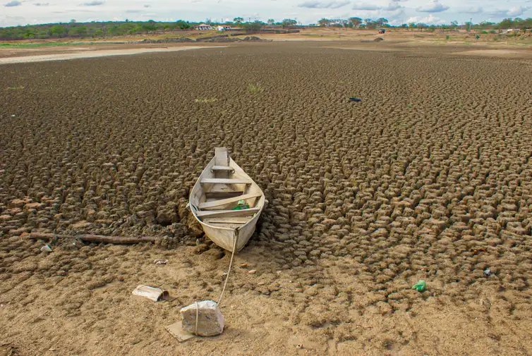 Da Amazônia à Europa, seca avança e movimenta debates na COP17. Rio seco no Semiárido Nordestino. Crédito: ASA / Divulgação