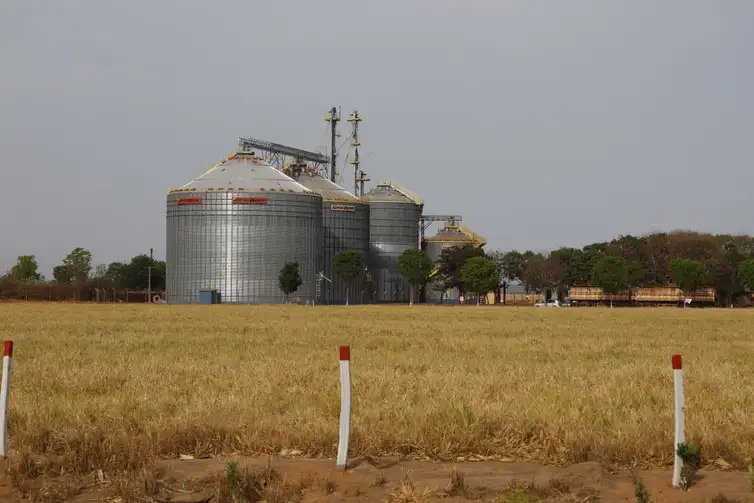 Balsas (MA), 09/10/2025 – Silos para armazenamento de grãos em fazenda de cultivo de soja vistos ao longo da rodovia MA-140. Foto: Fernando Frazão/Agência Brasil