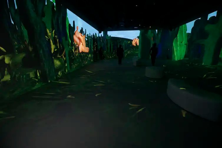 São Paulo (SP), 14/08/2026 - Exposição que celebra 140 anos do nascimento de Tarsila do Amaral.Com cerca de 40 obras projetadas em 360 graus, “O Brasil de Tarsila” inaugura o Nubank Arte Lab, novo espaço de arte imersiva no Conjunto Nacional em São Paulo. Fotos: Paulo Pinto/Agencia Brasil