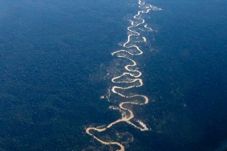 Alto Alegre (RR), 10/02/2023 - Vista em sobrevoo do rio Mucajaí, afetado pelo garimpo ilegal na Terra Indígena Yanomami. Foto: Fernando Frazão/Agência Brasil
