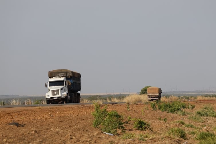 Balsas (MA), 09/10/2025 – Caminhões circulam na rodovia MA-140 próximo a fazendas de cultivo de soja. Foto: Fernando Frazão/Agência Brasil