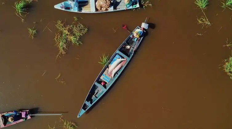 Rio de Janeiro (RJ), 28/10/2026 - Série documental Ciência Flutuante, sobre pesquisas na Amazônia, estreia na TV Brasil. Foto: TV Brasil